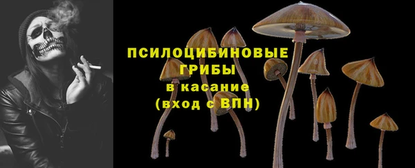 бутират Переславль-Залесский